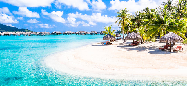 Cruise image