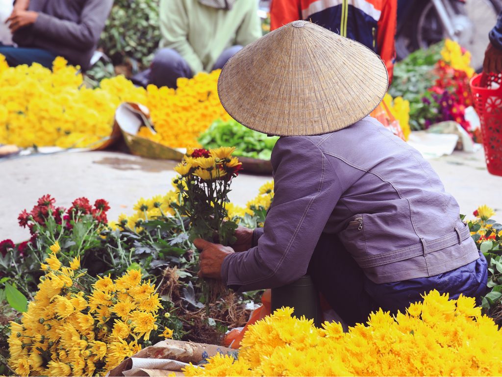 Ho Chi Minh City: Hotel Stay