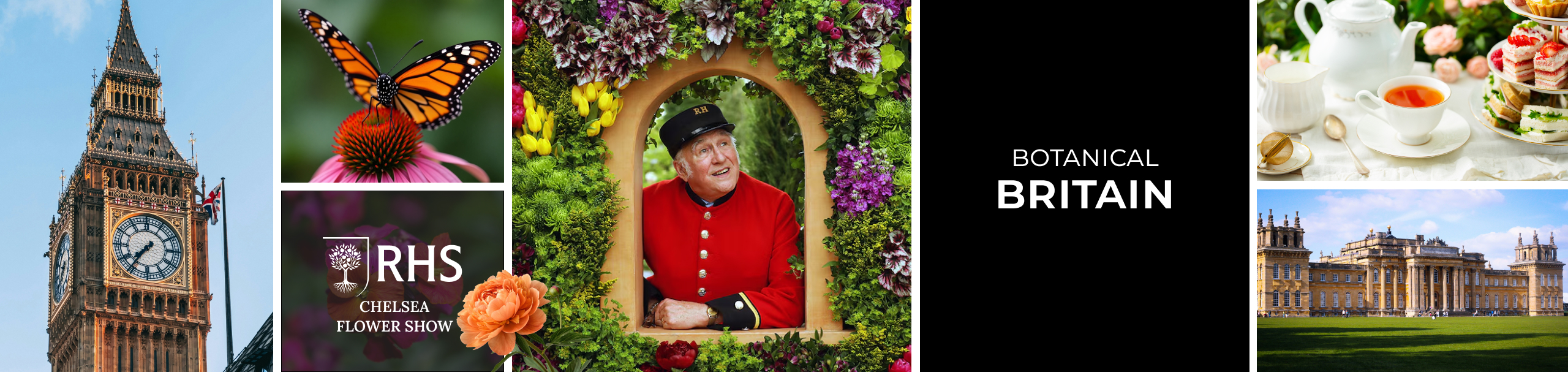Chelsea Flower Show