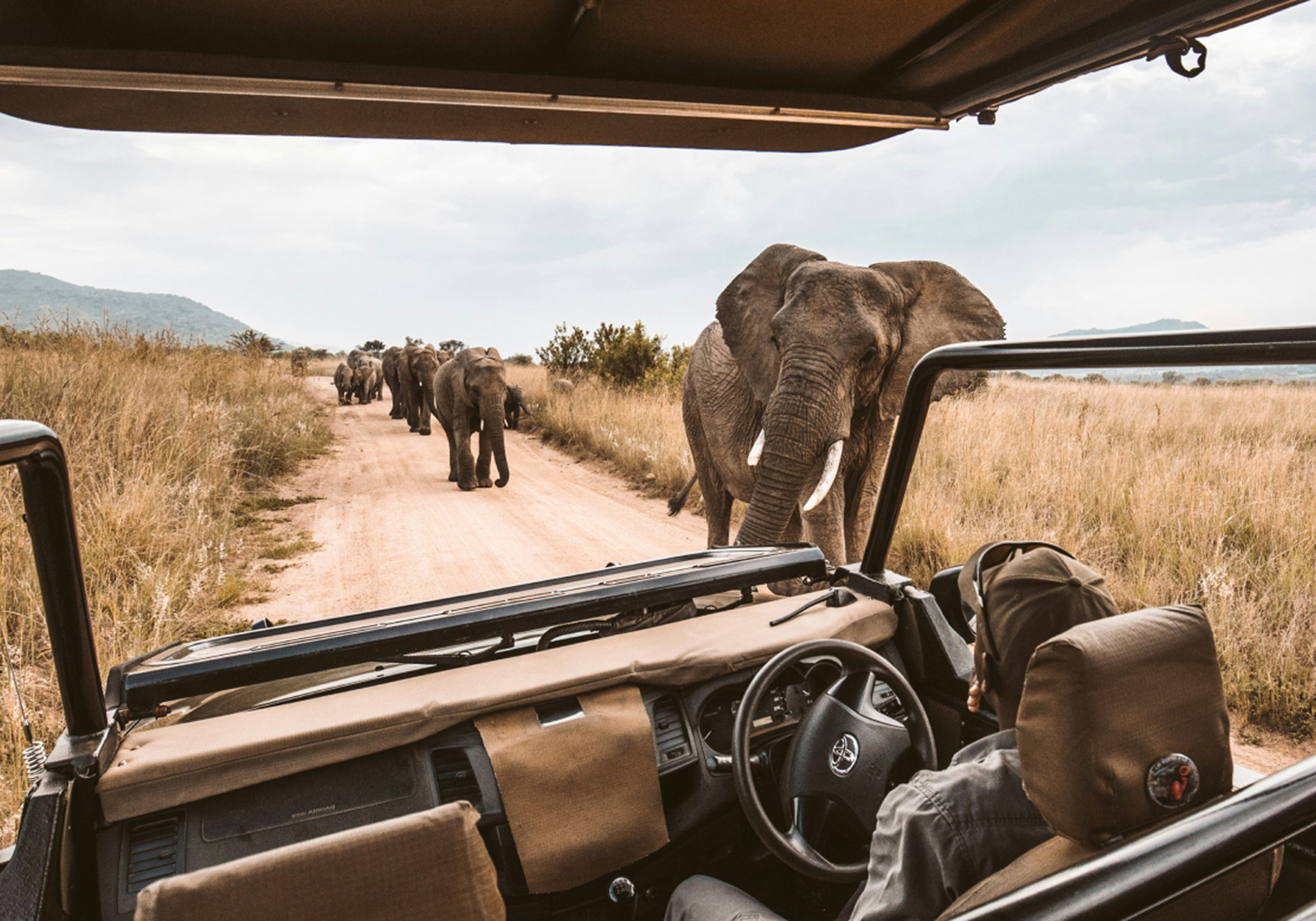 Chobe National Park