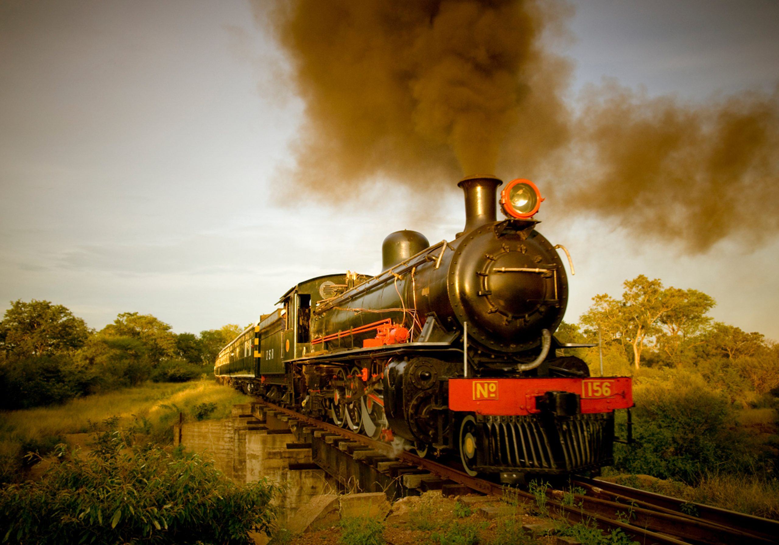 Royal Livingstone Express