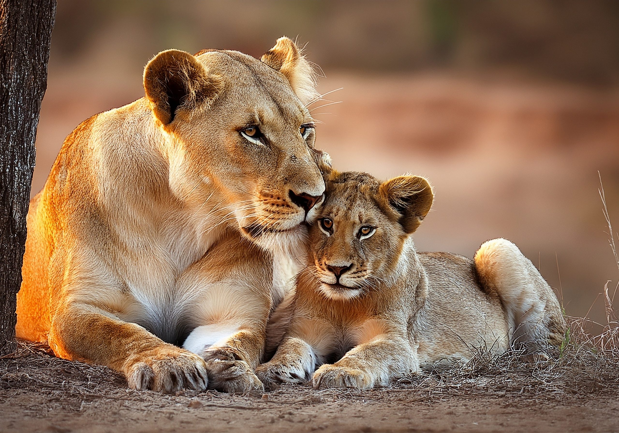 Chobe National Park